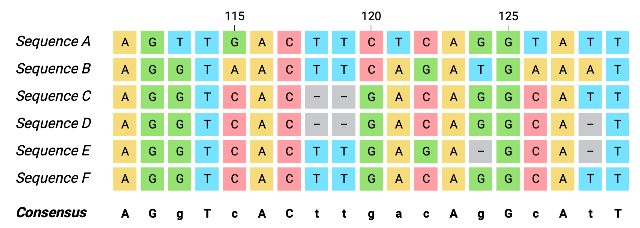 Multiple sequence alignment example